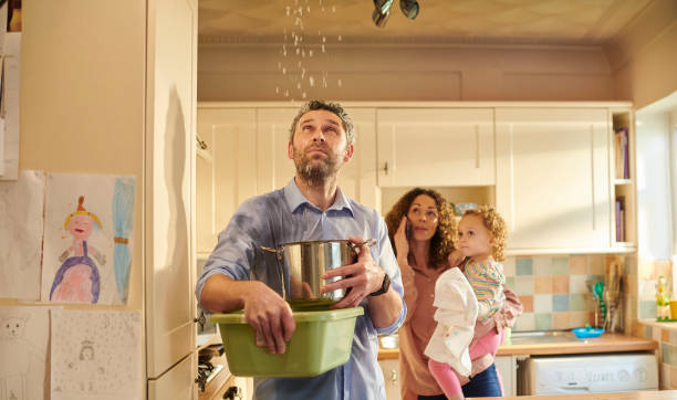 water damage contractor Butte-Silver Bow, MT