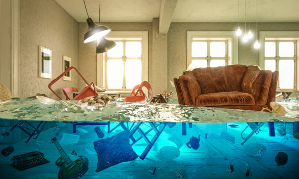 Water Damage Restoration Butte-Silver Bow, MT